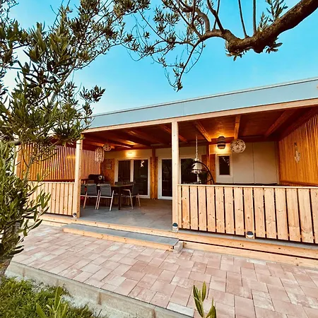 Novak House