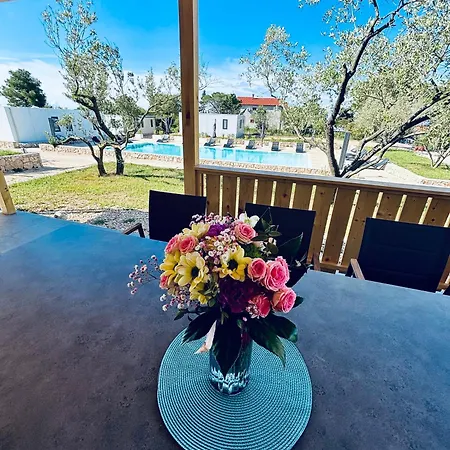 Novak House Holiday home Pakostane